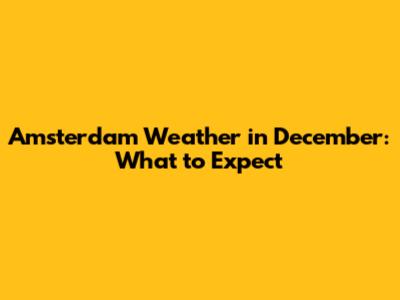 Amsterdam Weather in December: What to Expect
