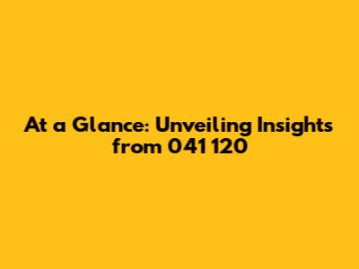 At a Glance: Unveiling Insights from 041 120