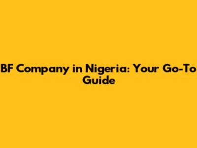 BF Company in Nigeria: Your Go-To Guide