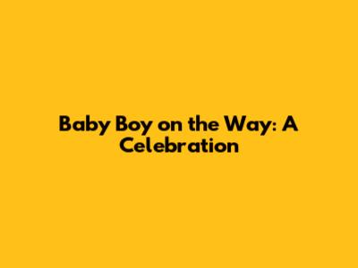 Baby Boy on the Way: A Celebration