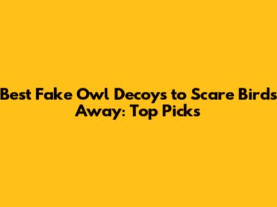 Best Fake Owl Decoys to Scare Birds Away: Top Picks