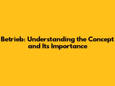Betrieb: Understanding the Concept and Its Importance