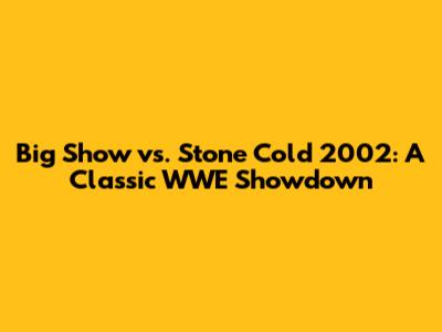 Big Show vs. Stone Cold 2002: A Classic WWE Showdown