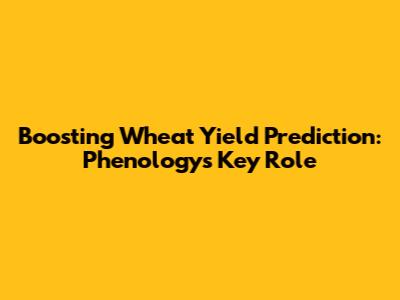 Boosting Wheat Yield Prediction: Phenology's Key Role