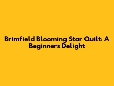 Brimfield Blooming Star Quilt: A Beginner's Delight