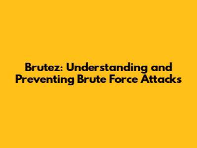 Brutez: Understanding and Preventing Brute Force Attacks