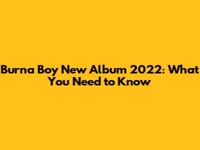 Burna Boy New Album 2022: What You Need to Know