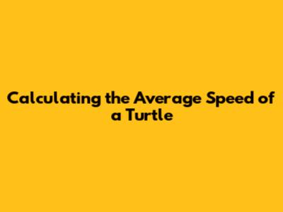 Calculating the Average Speed of a Turtle