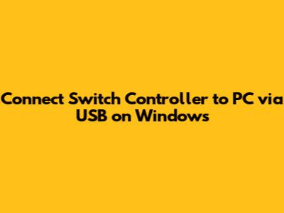 Connect Switch Controller to PC via USB on Windows