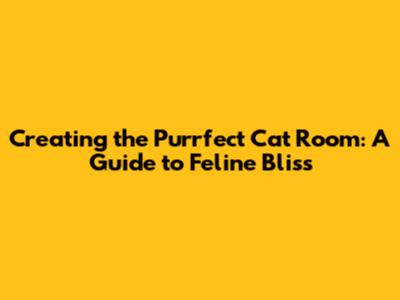 Creating the Purrfect Cat Room: A Guide to Feline Bliss