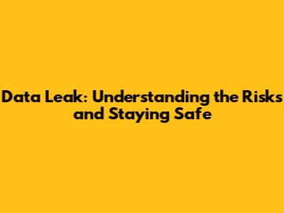 Data Leak: Understanding the Risks and Staying Safe