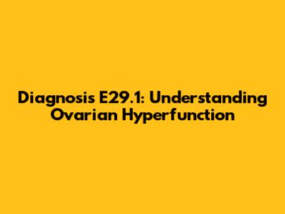 Diagnosis E29.1: Understanding Ovarian Hyperfunction