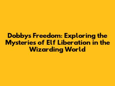 Dobby's Freedom: Exploring the Mysteries of Elf Liberation in the Wizarding World