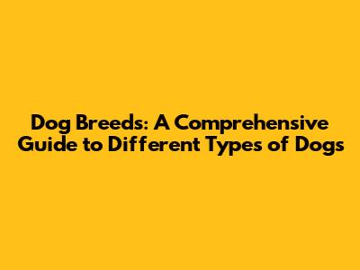 Dog Breeds: A Comprehensive Guide to Different Types of Dogs