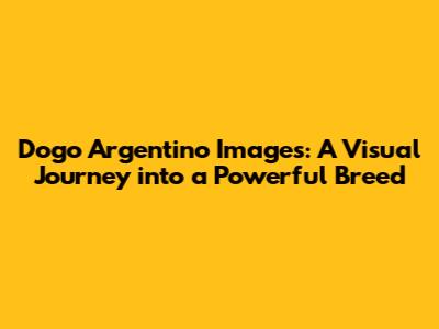 Dogo Argentino Images: A Visual Journey into a Powerful Breed
