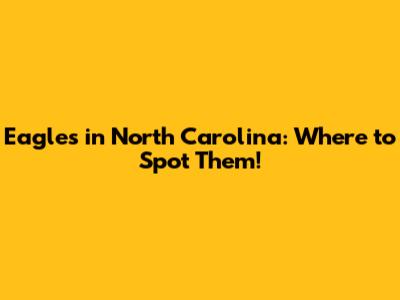 Eagles in North Carolina: Where to Spot Them!