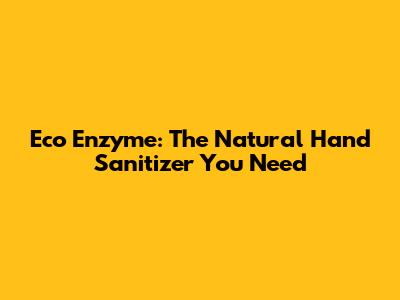 Eco Enzyme: The Natural Hand Sanitizer You Need