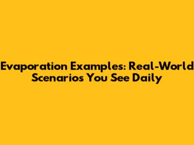 Evaporation Examples: Real-World Scenarios You See Daily