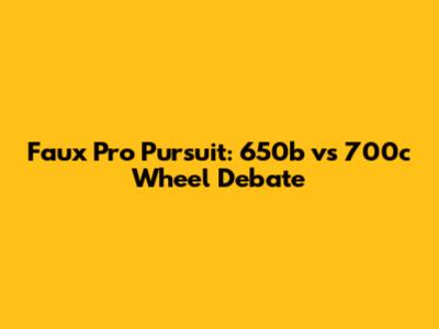 Faux Pro Pursuit: 650b vs 700c Wheel Debate