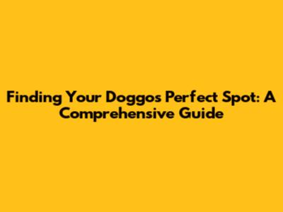 Finding Your Doggo's Perfect Spot: A Comprehensive Guide