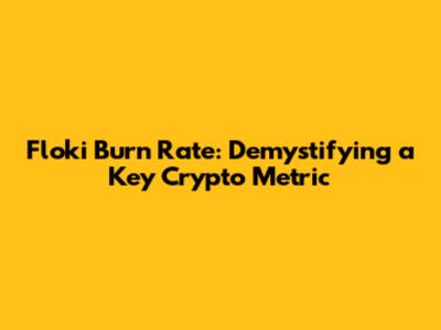 Floki Burn Rate: Demystifying a Key Crypto Metric