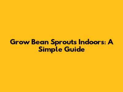 Grow Bean Sprouts Indoors: A Simple Guide