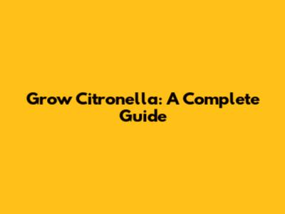 Grow Citronella: A Complete Guide