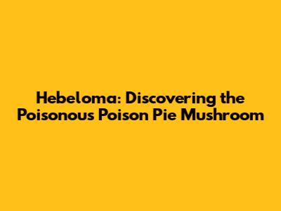 Hebeloma: Discovering the Poisonous Poison Pie Mushroom