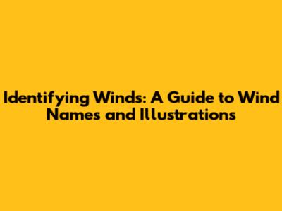Identifying Winds: A Guide to Wind Names and Illustrations