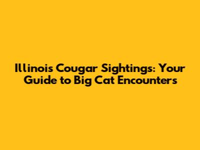 Illinois Cougar Sightings: Your Guide to Big Cat Encounters