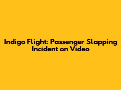 Indigo Flight: Passenger Slapping Incident on Video