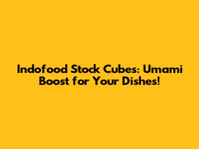 Indofood Stock Cubes: Umami Boost for Your Dishes!