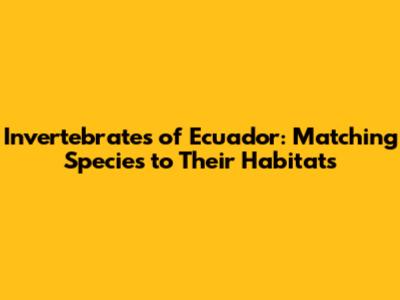 Invertebrates of Ecuador: Matching Species to Their Habitats