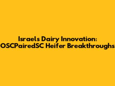 Israel's Dairy Innovation: OSCPairedSC Heifer Breakthroughs