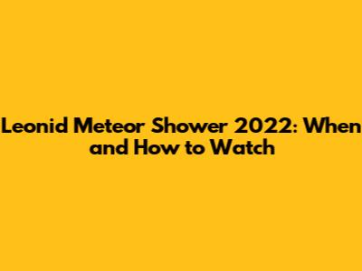 Leonid Meteor Shower 2022: When and How to Watch