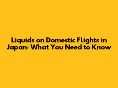 Liquids on Domestic Flights in Japan: What You Need to Know