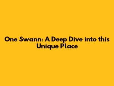 One Swann: A Deep Dive into this Unique Place