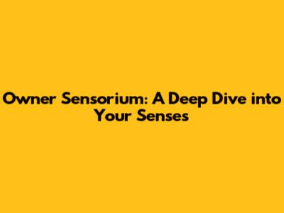 Owner Sensorium: A Deep Dive into Your Senses