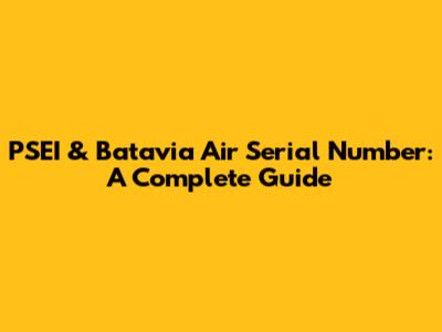 PSEI & Batavia Air Serial Number: A Complete Guide