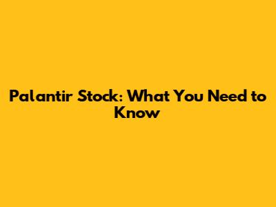 Palantir Stock: What You Need to Know