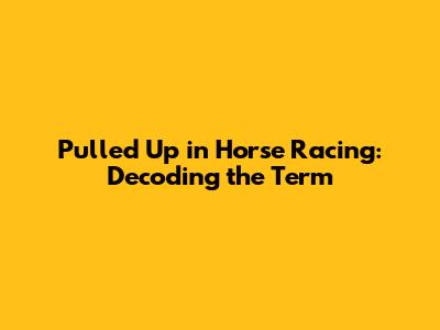 Pulled Up in Horse Racing: Decoding the Term