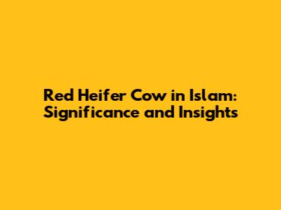 Red Heifer Cow in Islam: Significance and Insights