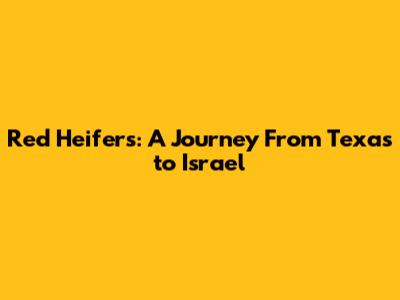 Red Heifers: A Journey From Texas to Israel