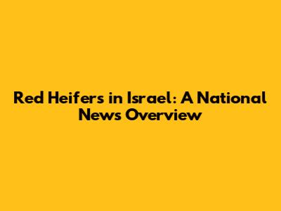 Red Heifers in Israel: A National News Overview