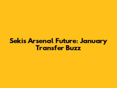 Seki's Arsenal Future: January Transfer Buzz
