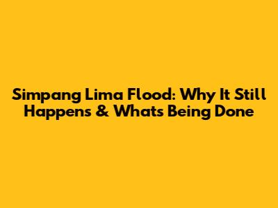 Simpang Lima Flood: Why It Still Happens & What's Being Done