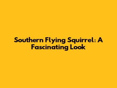 Southern Flying Squirrel: A Fascinating Look