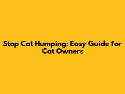 Stop Cat Humping: Easy Guide for Cat Owners