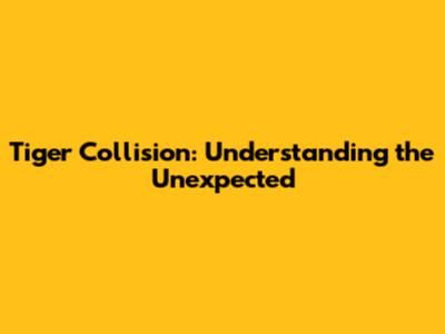 Tiger Collision: Understanding the Unexpected