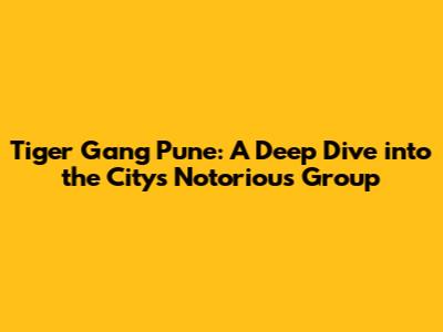 Tiger Gang Pune: A Deep Dive into the City's Notorious Group